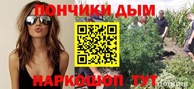 сатива Новозыбков
