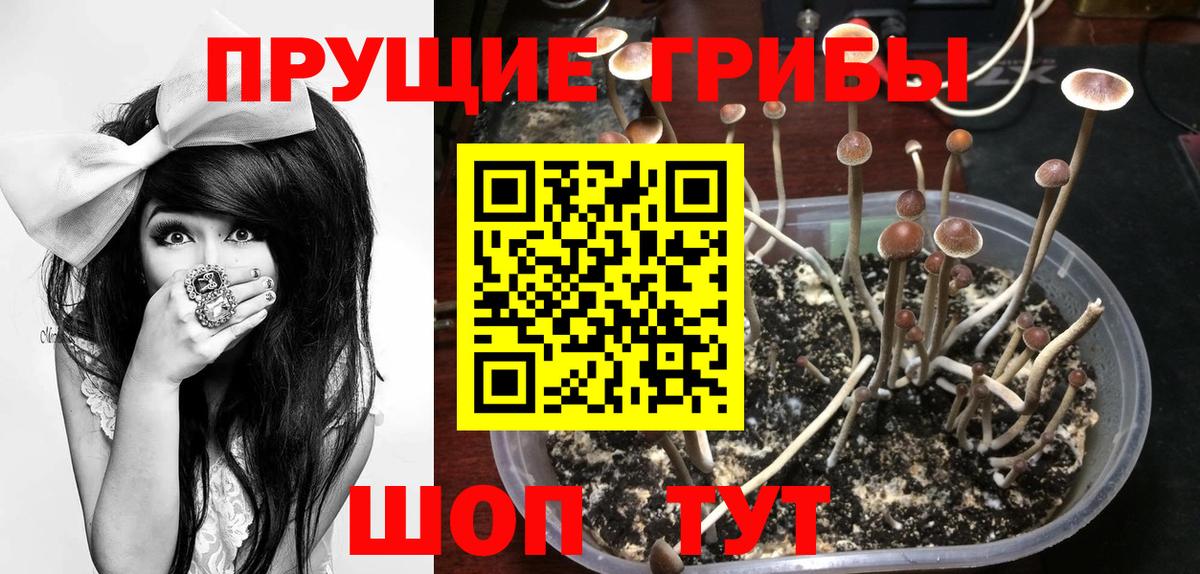 Галлюциногенные грибы ЛСД  Галлюциногенные грибы Psilocybe  Вход с VPN  Усть-Джегута 